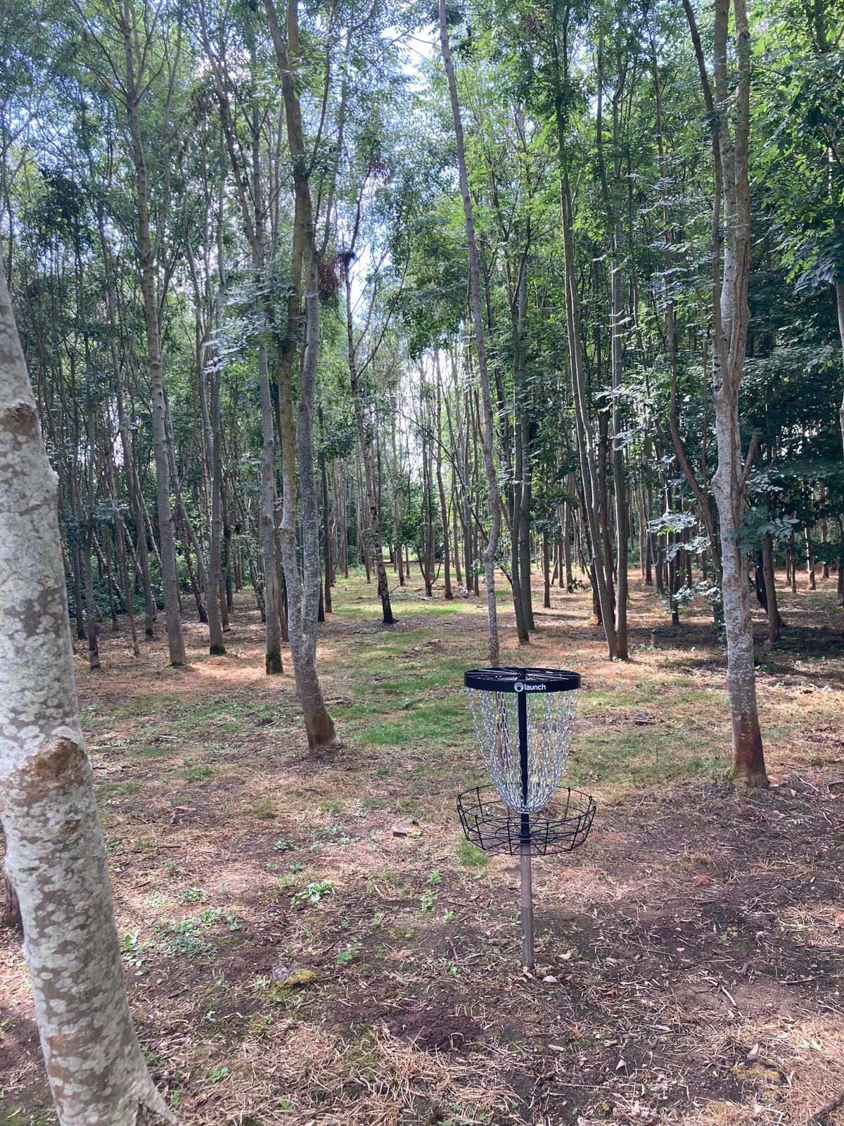 The National Disc Golf Course